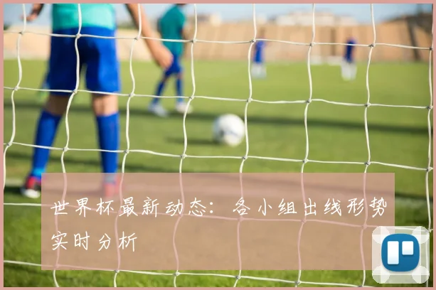 世界杯最新动态：各小组出线形势实时分析