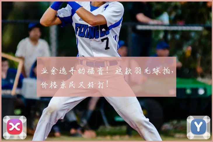业余选手的福音!这款羽毛球拍,价格亲民又好打!