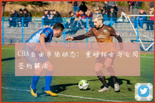 CBA自由市场动态：重磅转会与合同签约解读